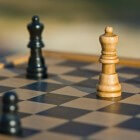 Het schaakbord: uitleg voor de beginnende schaker