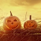 Halloween-quiz voor volwassenen: monsters in boek en verhaal