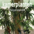 Recensie: ‘Kamerplanten encyclopedie’ door Nico Vermeulen