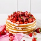 De Cricut Cake - voor alle taart en cupcake decoraties