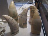 Scrimshaw in het Old State House Museum in Boston / Bron: Daderot, Wikimedia Commons (Publiek domein)